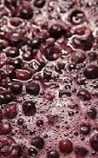 Fermentation raisin - Le Clan des Sens