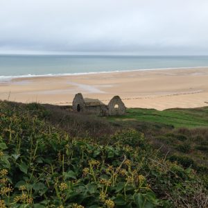 Mer Cotentin - Le Clan des Sens