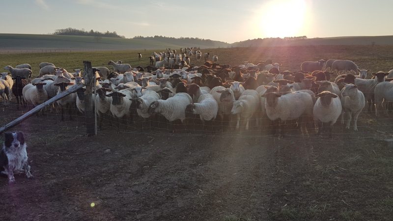 La ferme de Clavisy - Le Clan des Sens