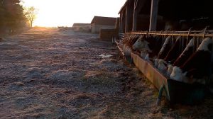 Ferme de Clavisy - Le Clan des Sens