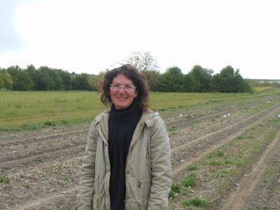 Stéphanie Cailleteau - Le Clan des Sens