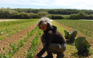 Nathalie Albezard - Le Clan des Sens