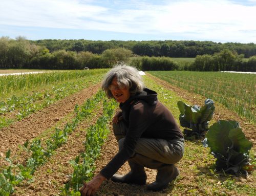 Nathalie Albezard, un aléa déterminant