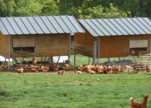 Ferme de la Vallée Boisée - Le Clan des Sens