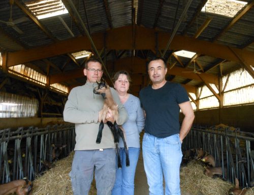 Corinne, Yann et Fabrice, le club des trois