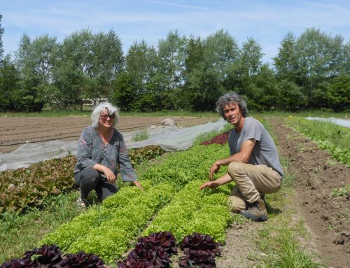 Christelle et Stéphane Neau, accompagnateurs de la nature